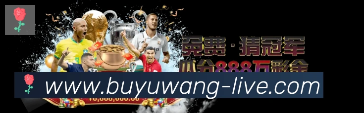 未来规划